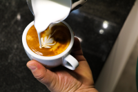 Cappuccinotasse Nuova Point mit Unterteller 4